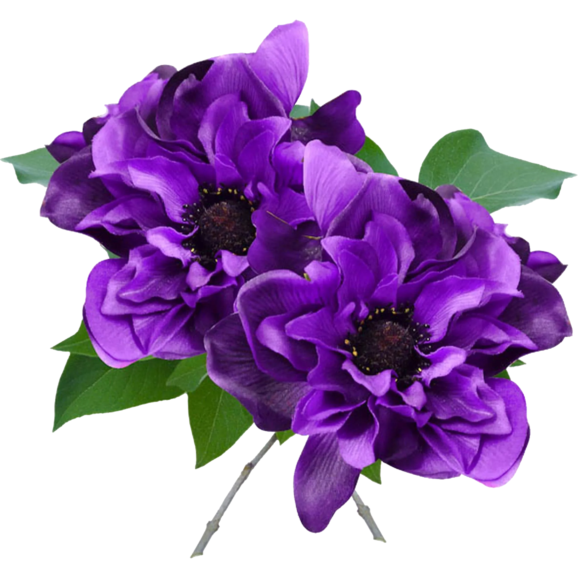 Purple floral detail